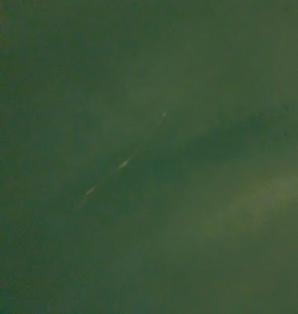 Meet your Posher, Parkito